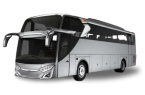 bus Danu Trans